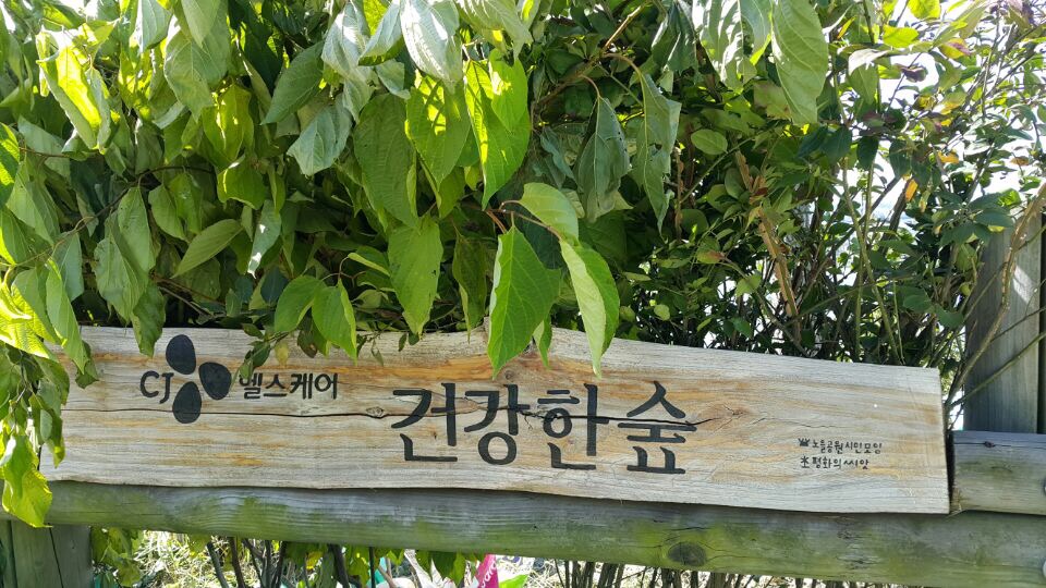 건강한숲 건강한숲
